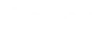 company-logo-2